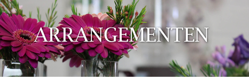 Arrangementen Arrangementen