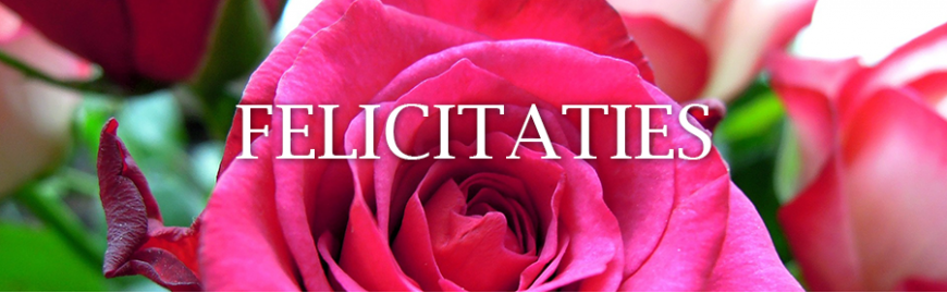 Felicitaties Felicitaties