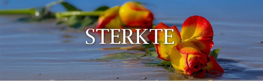 Sterkte Sterkte